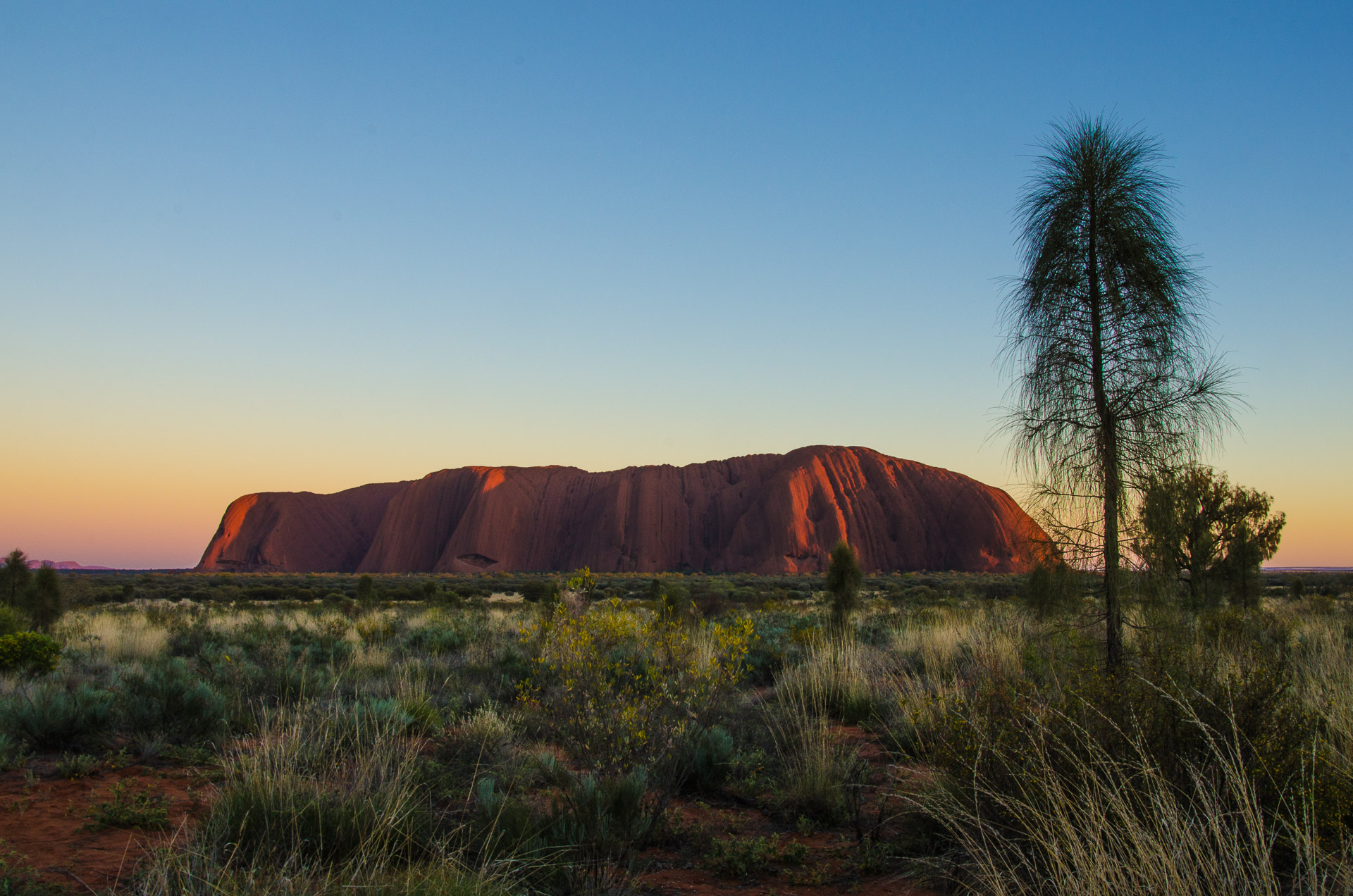 Sunrise at Uluru